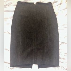 Express Pencil Skirt